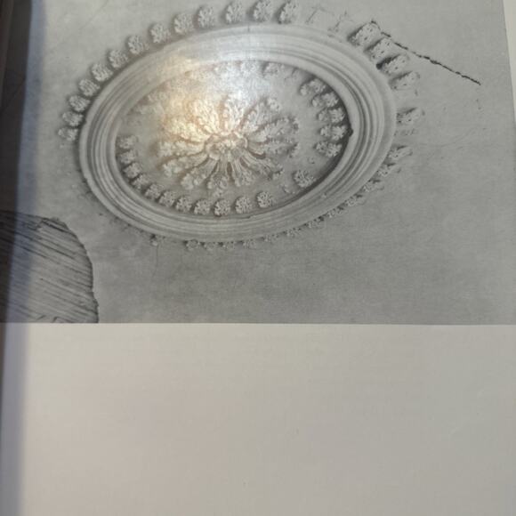 Ghosts Along the Mississippi: The Magic of the Old Houses of Louisiana, Loughlin - Picture 7 of 9